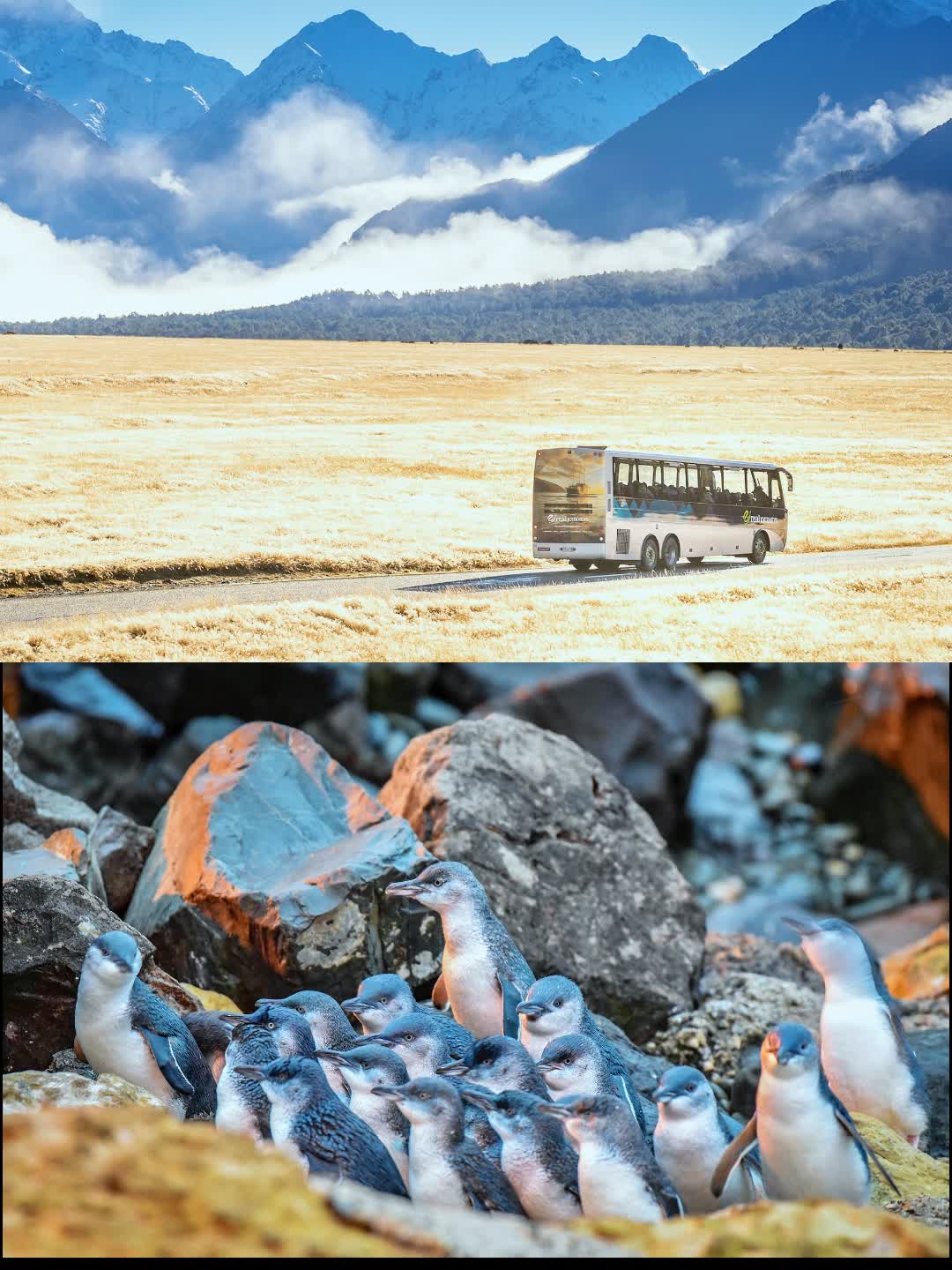 南岛6日湖光山色(2).jpg