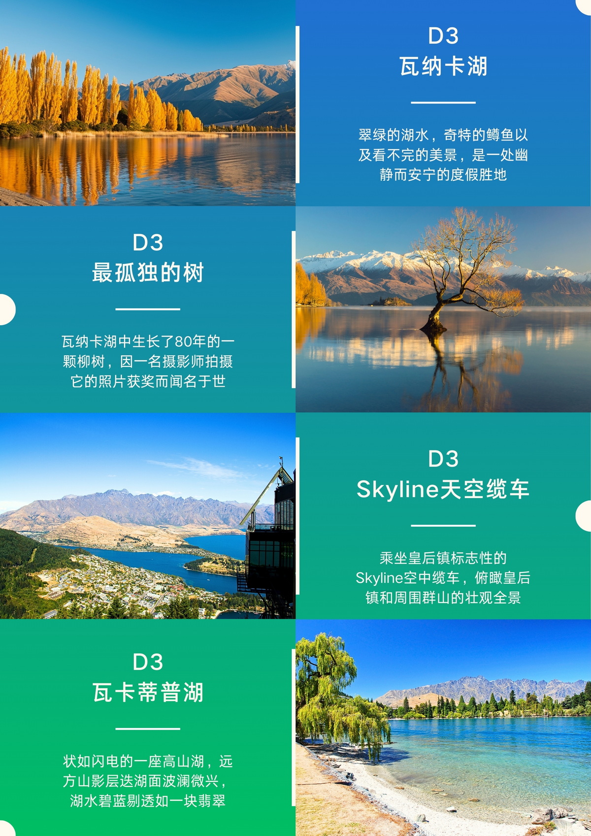 南岛8日全景之旅 D8 电商长图 中旅LOGO版 (7).jpg