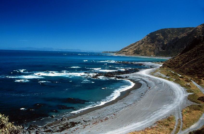 新西兰旅游景点,新西兰景点,北岛,惠灵顿,惠灵顿海豹公园