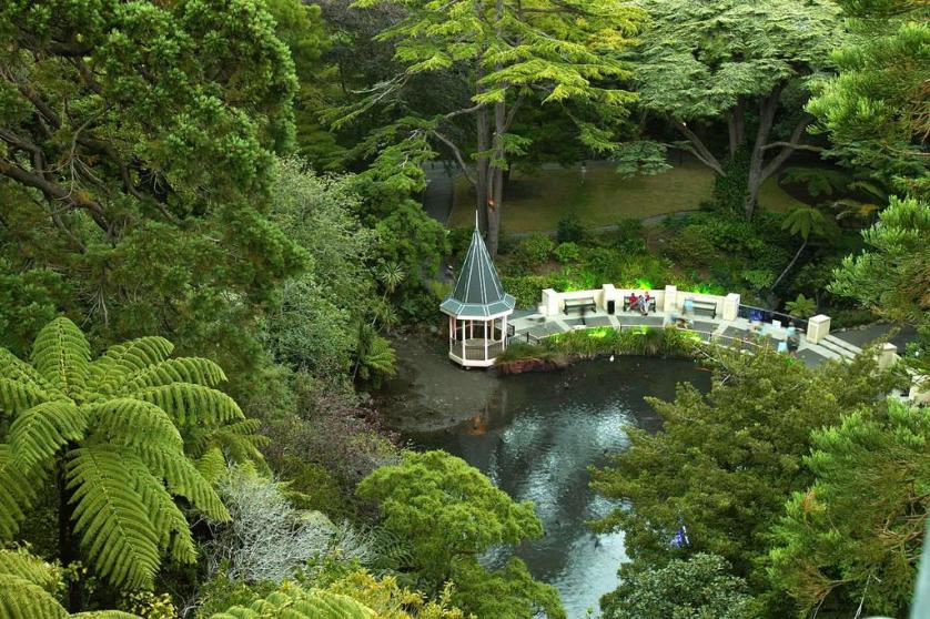 新西兰旅游景点,新西兰景点,北岛,惠灵顿,惠灵顿植物园