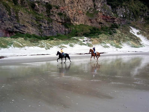 新西兰旅游景点,新西兰景点,新西兰南岛景点,但尼丁景点,野兔山骑马巡游,新西兰骑马