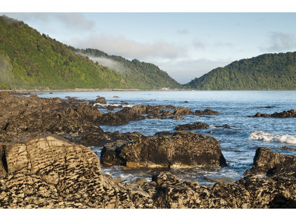 新西兰旅游景点,新西兰景点,新西兰南岛景点,新西兰西海岸,西海岸风光,新西兰西线,帕帕罗瓦国家公园