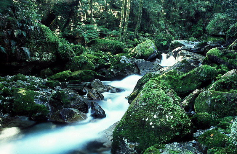 新西兰旅游景点,新西兰景点,新西兰南岛景点,新西兰西海岸,西海岸风光,新西兰西线,西海岸