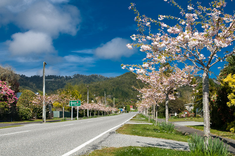 新西兰旅游景点,新西兰景点,新西兰南岛景点,新西兰西海岸,西海岸风光,新西兰西线,西海岸