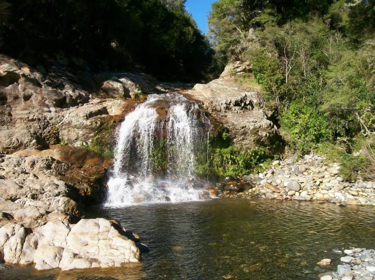 新西蘭旅遊景點,新西蘭景點,新西蘭南島景點,尼爾森景點,尼爾森
