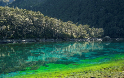 新西蘭旅遊景點,新西蘭景點,新西蘭南島景點,尼爾森景點,尼爾森,尼爾森藍湖國家公園