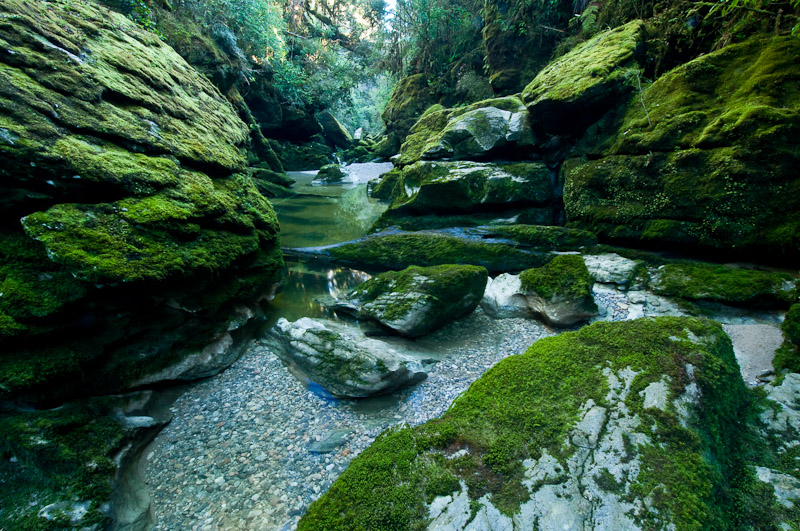 新西兰旅游景点,新西兰景点,新西兰南岛景点,新西兰西海岸,西海岸风光,新西兰西线,西海岸