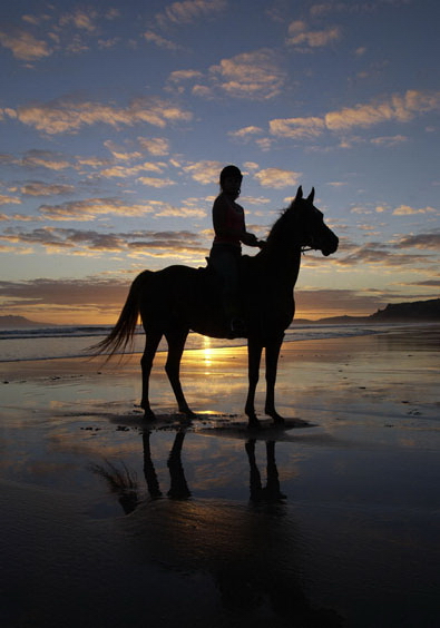 新西兰旅游景点,新西兰景点,北岛,奥克兰,奥克兰景点,帕基里海滩骑马