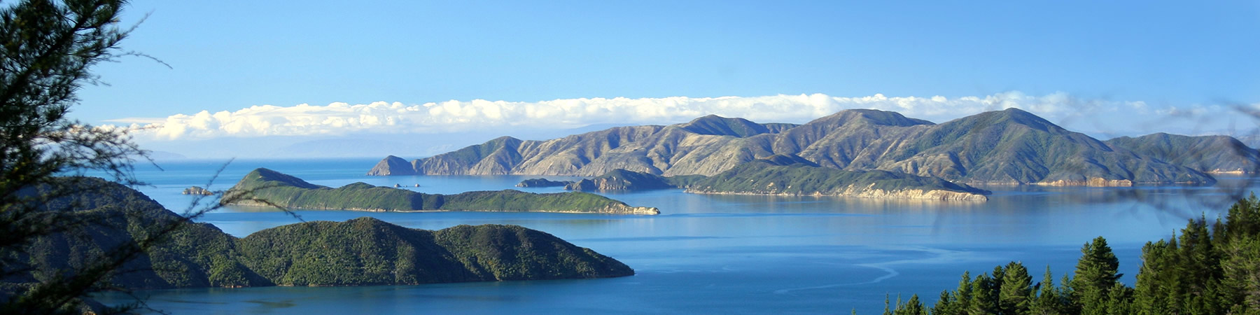 新西兰旅游景点,新西兰景点,新西兰南岛景点,马尔堡水上的士,马尔堡峡湾水上出租车,新西兰水上出租车,皮克顿水上的士,新西兰水上TAXI