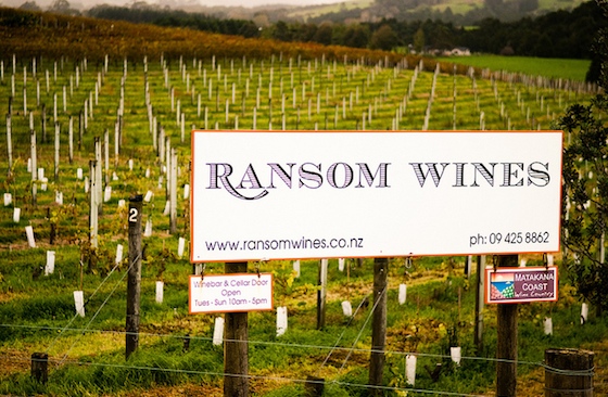 06-Ransom-Wines.jpg