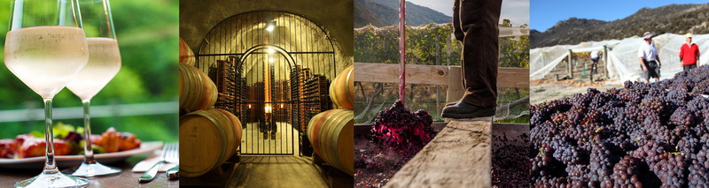 gibbstonvalley-winemaking.jpg