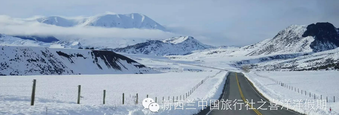 【行攝直播】冬日南島全景美食6日全記錄（一、雪原亞瑟山口）