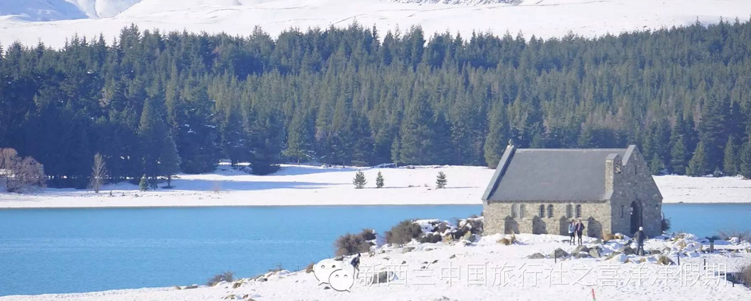 【行攝直播】冬日南島全景美食6日全記錄（六、庫克山 雪的國度）