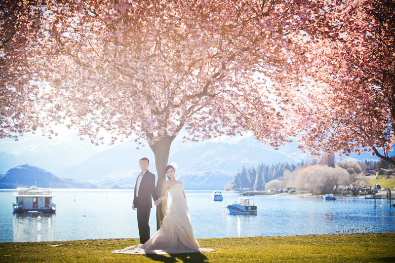 新西兰婚礼,新西兰婚纱,新西兰蜜月旅行