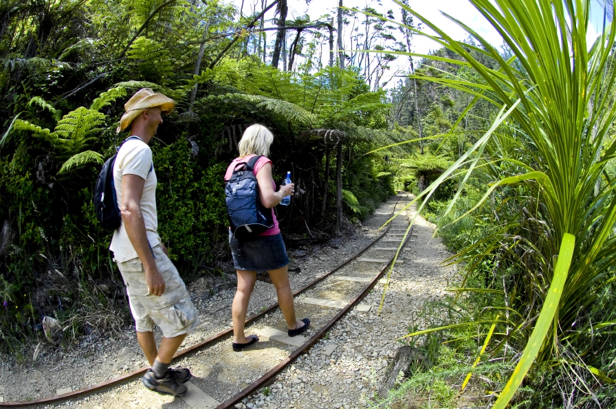 新西兰旅游景点,新西兰景点,北岛,科罗曼德,新西兰徒步,卡朗格哈克峡谷历史徒步步道