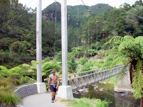 新西兰旅游景点,新西兰景点,北岛,科罗曼德,新西兰徒步,卡朗格哈克峡谷历史徒步步道