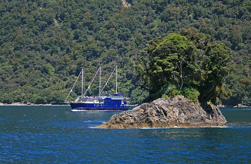新西兰旅游景点,新西兰景点,新西兰南岛景点,峡湾地区景点,峡湾景点,米尔福德峡湾游船观光巡游,米尔福德峡湾风景观光巡游,船游米弗峡湾,米弗峡湾游船
