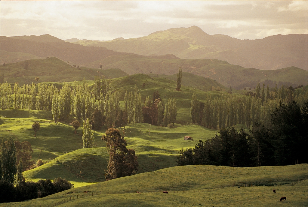 每天都享受全世界第一缕阳光的地区-北岛东部地区
