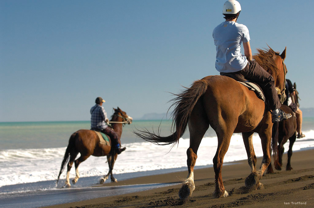 每天都享受全世界第一缕阳光的地区-北岛东部地区