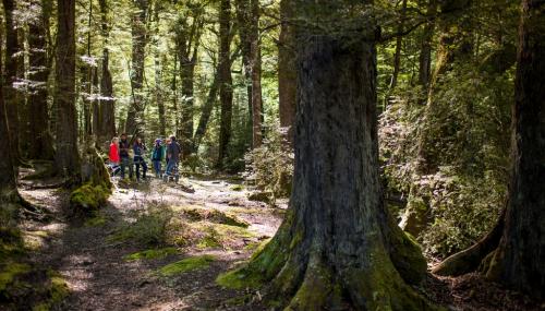 新西兰指环王拍摄地,新西兰指环王,皇后镇魔戒之旅,新西兰霍比特人拍摄地,新西兰霍比特人
